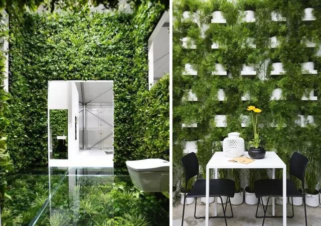 綠植長在墻上，個性又省地方！